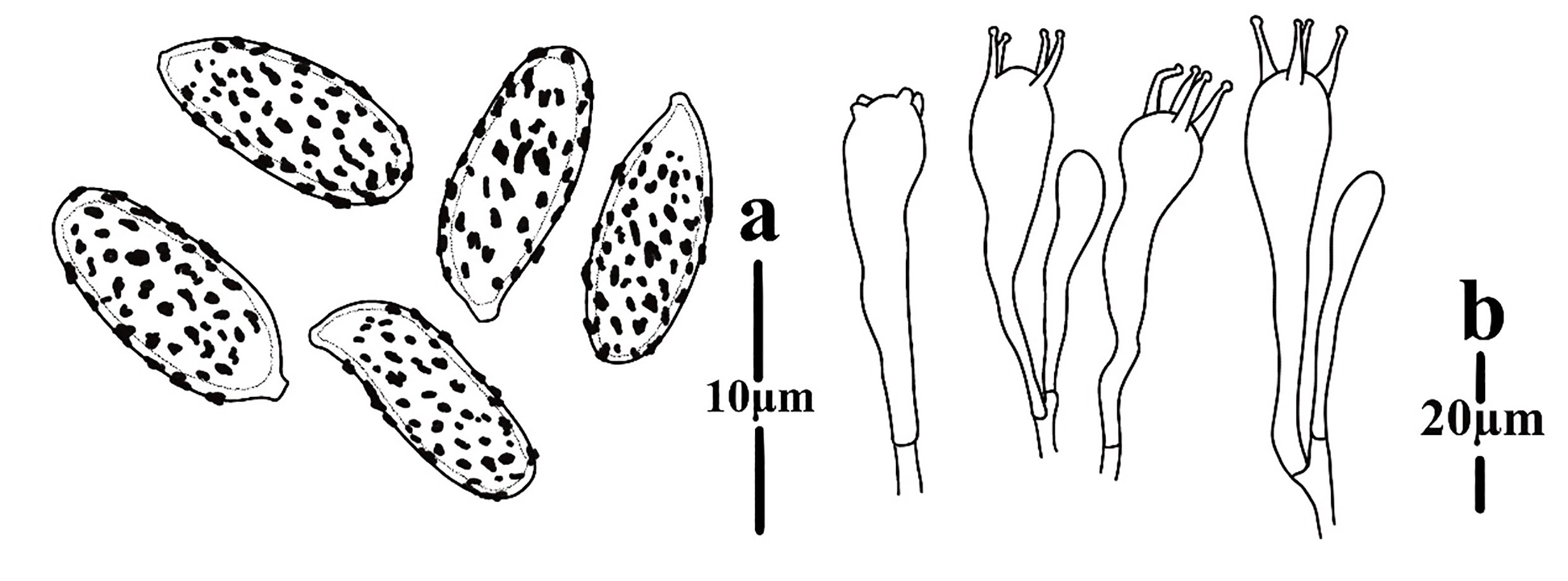 Figure 77